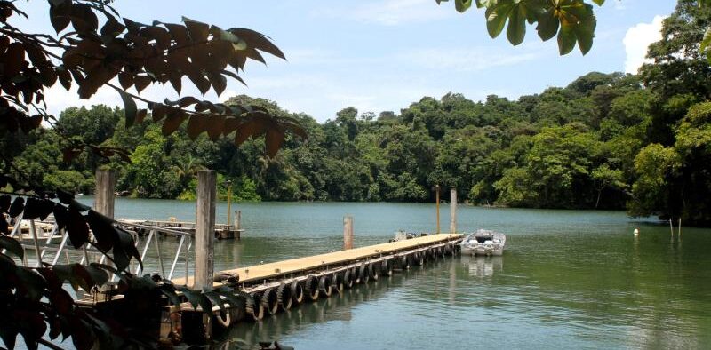 Una isla de Panamá, aislada de los humanos, pierde su biodiversidad