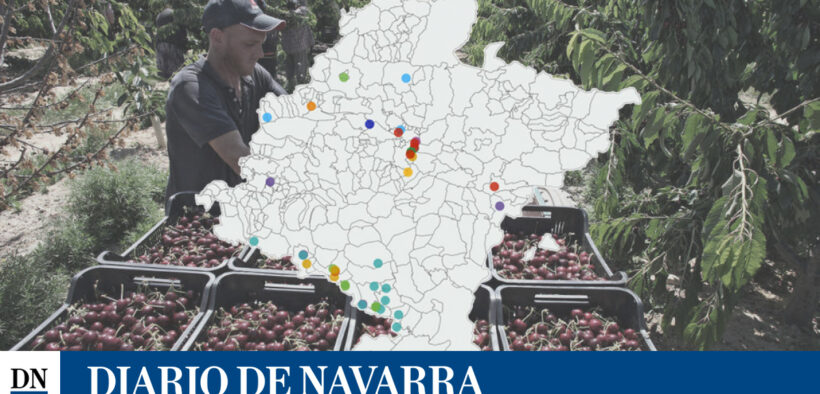 El sector agroalimentario: las 50 empresas que más facturan y más empleo generan en Navarra